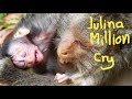 Million cryinghurt baby julinamother jade monkey fightbite seriously on julinababy monkey post