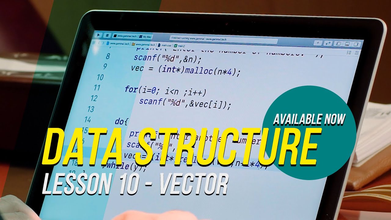 Data Structures - Lesson 10 - Vector - YouTube