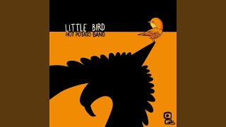 Little Bird