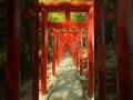 福島のパワースポット⛩️ 伊佐須美神社