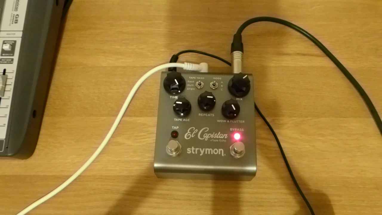 Strymon El Capistan d'Tape Echo (Bass) - YouTube