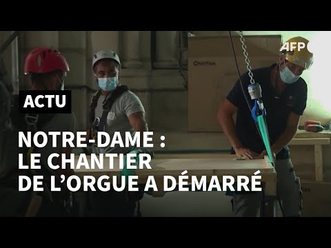 EXCLUSIF: Notre-Dame: le