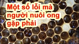 Một số lỗi mà người nuôi ong gặp phải