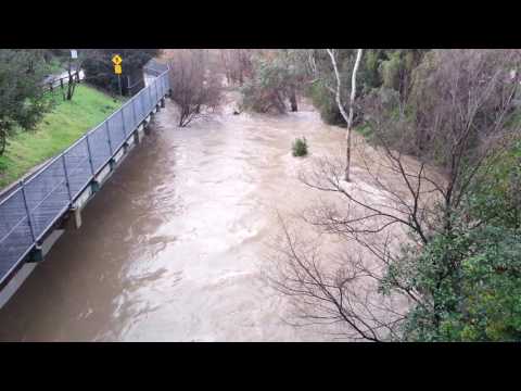 Los Gatos Creek at Campbell Ave 2017-01-11