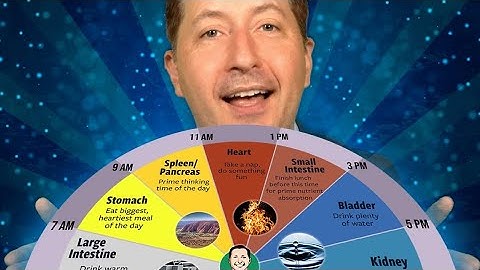 Chinese circadian rhythm - SECRET Body Clock Revealed