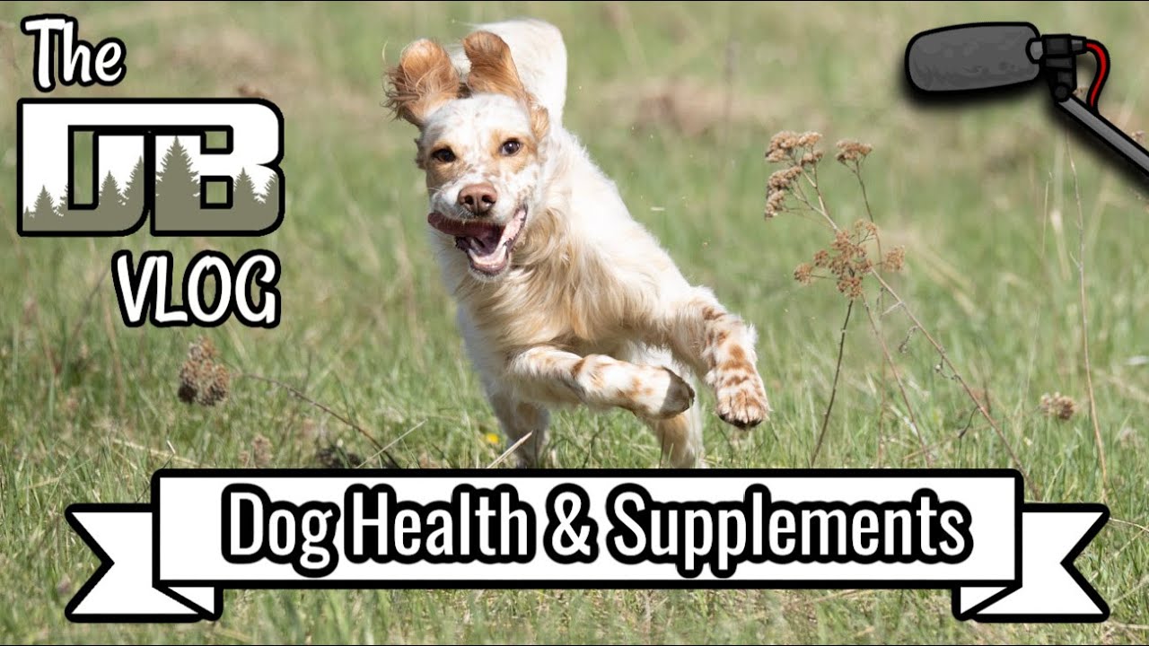 Dog Health: Food, Supplements, & Signs of Health Issues | Ep: 233