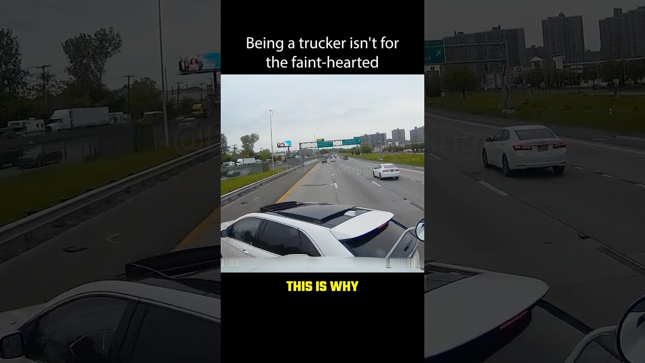 Dumbass driver messed with the wrong trucker