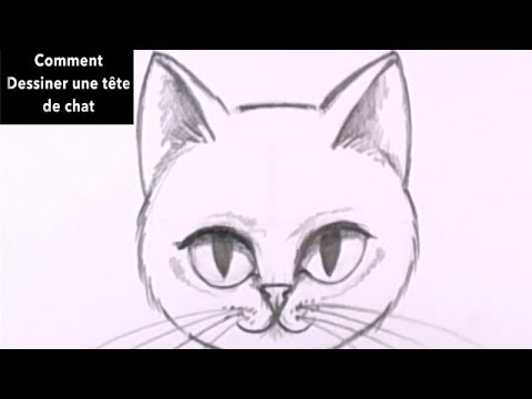 comment dessiner une tête de chat facilement  YouTube