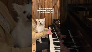 Download Lagu Long Long Time #thelastofus #thelastofushbo #lindaronstadt #soundtrack #episode3 #piano #dogs #cover MP3