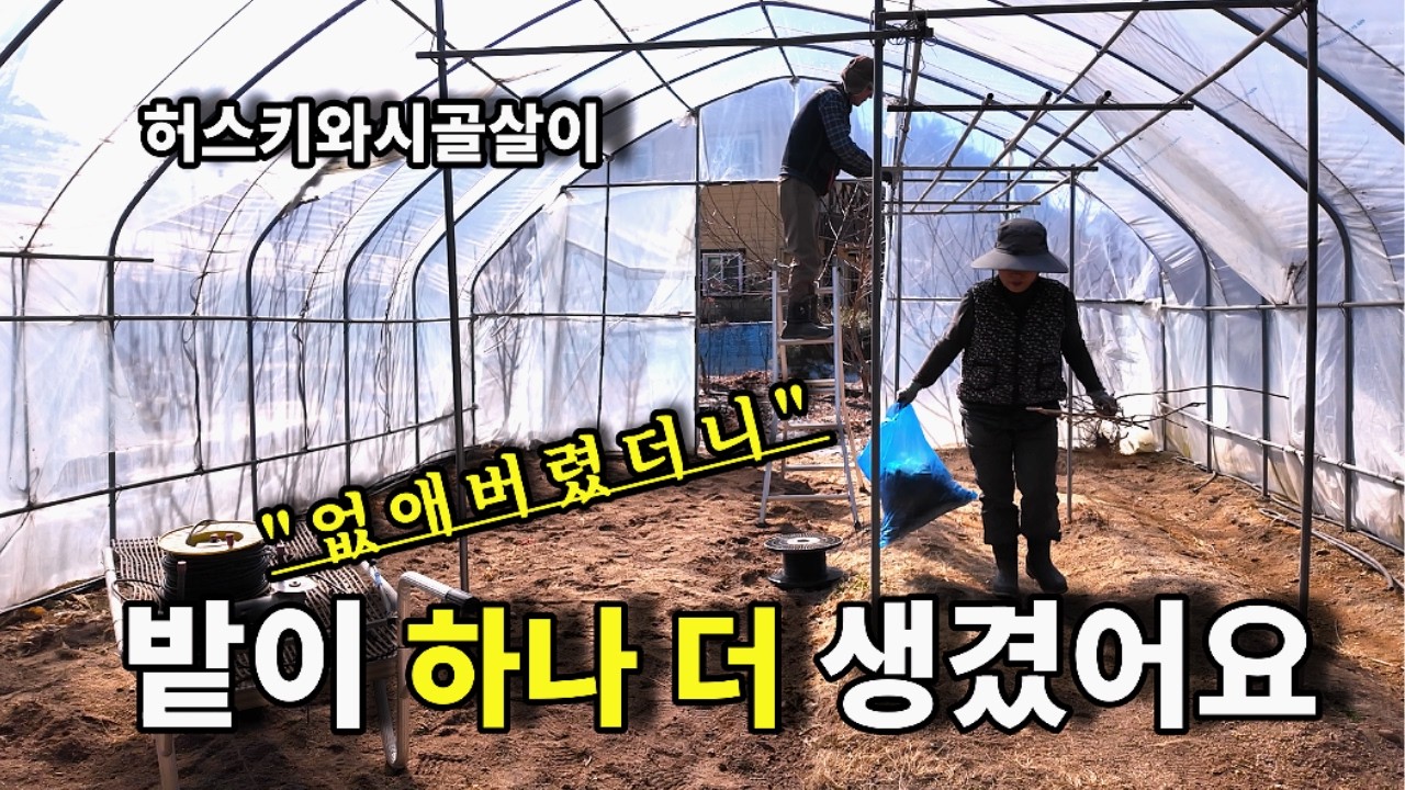 기둥을 치우니 생긴 새 공간 I 허스키와 함께한 시골하루 I 봄농사 준비하는 시골