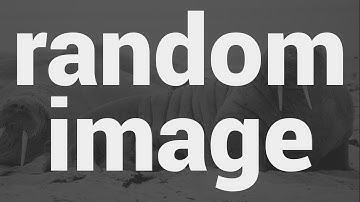 Lorem Picsum - Rastgele Resim Çağırmak - Random Image