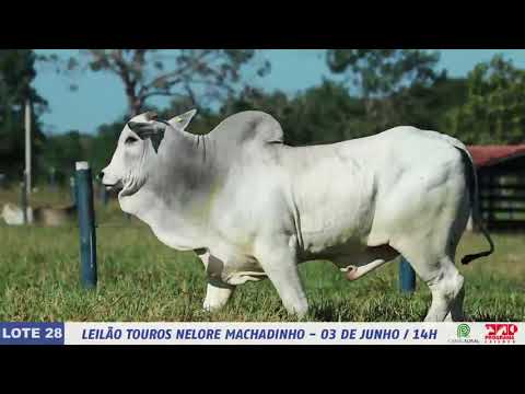 LOTE 28   DIM 6325 1 MP4