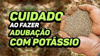 CUIDADO AO FAZER ADUBAÇÃO COM POTÁSSIO