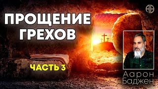 Прощение грехов. Часть 3 | Аарон Баджен