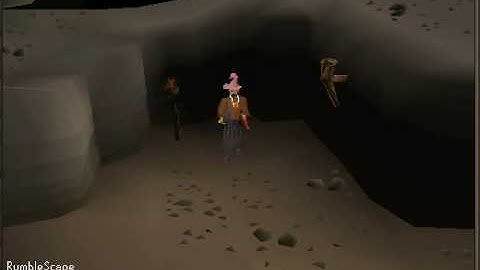 new runescape private server!317