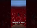 Questa opzione di Minecraft è assurda...