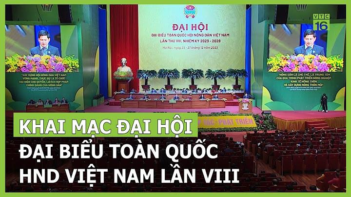 Đại hội đại biểu là gì năm 2024