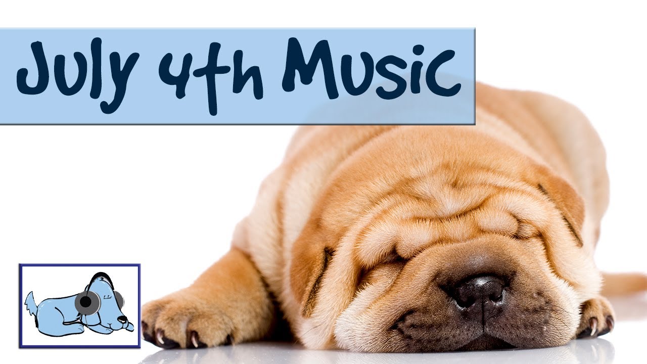 Music To Calm Dogs During Fireworks Relax Stressed Dogs During music-to-calm-dogs-during-fireworks-relax-stressed-dogs-during