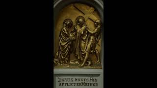 Sunday Mass - Transfiguration Parish - Pentecost Sunday - May 24, 2026