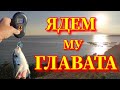 Леферите Ни Изядоха Кокалите! Get in!
