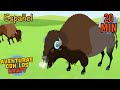 Las praderas de bisontes | Temporada 3 [episodio completo] Aventuras con los Kratt