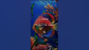 سبح إسم ربك الأعلى تلاوة خاشعة حالات واتساب قران كريم 🩵🍁💙 #حالات_واتس_اب