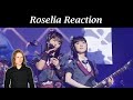 Roselia - Swear~Night &amp; Day [Live 2022] (Reaction)