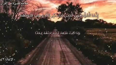 مقطع قصير من سورة الأنفال||حالات واتس اب دينية||