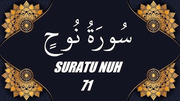 محمد الفقية - سورة نوح (71)