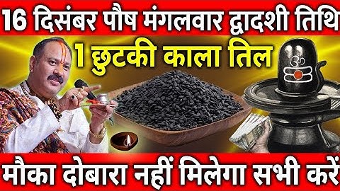 16 दिसंबर पौष मंगलवार द्वादशी तिथि के दिन 1 छुटकी काला तिल वाला उपाय जरुर करे || Pradeep Ji Mishra