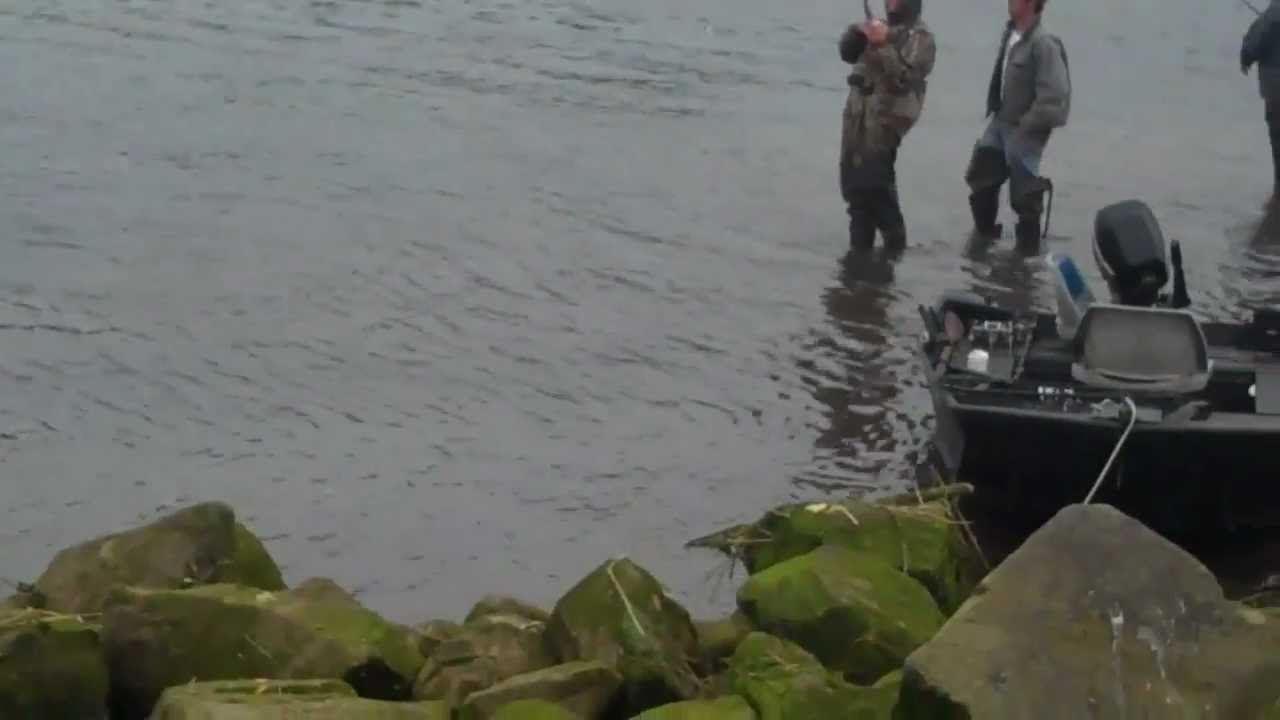 Salmon Fishing from Shore on the Nestucca River - YouTube