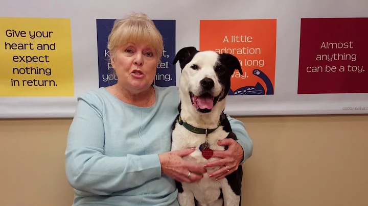 Susan Gould with Bella 2