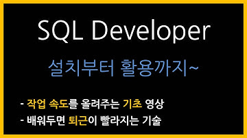개발자를 위한 무료 SQL툴 SQL Developer 활용 꿀팁