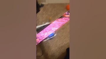 See you at worlds! #overunder #robotics #vexrobotics #robot #vex