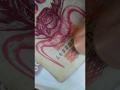 ليرة تركية اليوم مقابل الدينار الجزائري صرف العملة 2023 02 21