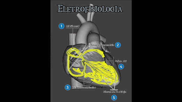 Cardiac electrophysiology - Heart conduction system - SHORTS