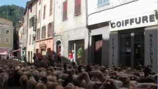 17 juin castellane.mp4