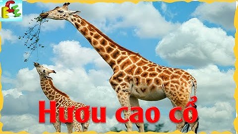 Dạy bé học nói tiếng việt con vật trong vườn bách thú bé tập đọc tên con vật | giáo dục trẻ em ece