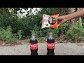 Coca Cola vs Salt Experiment !