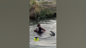 Trò đùa với cá Sấu #short