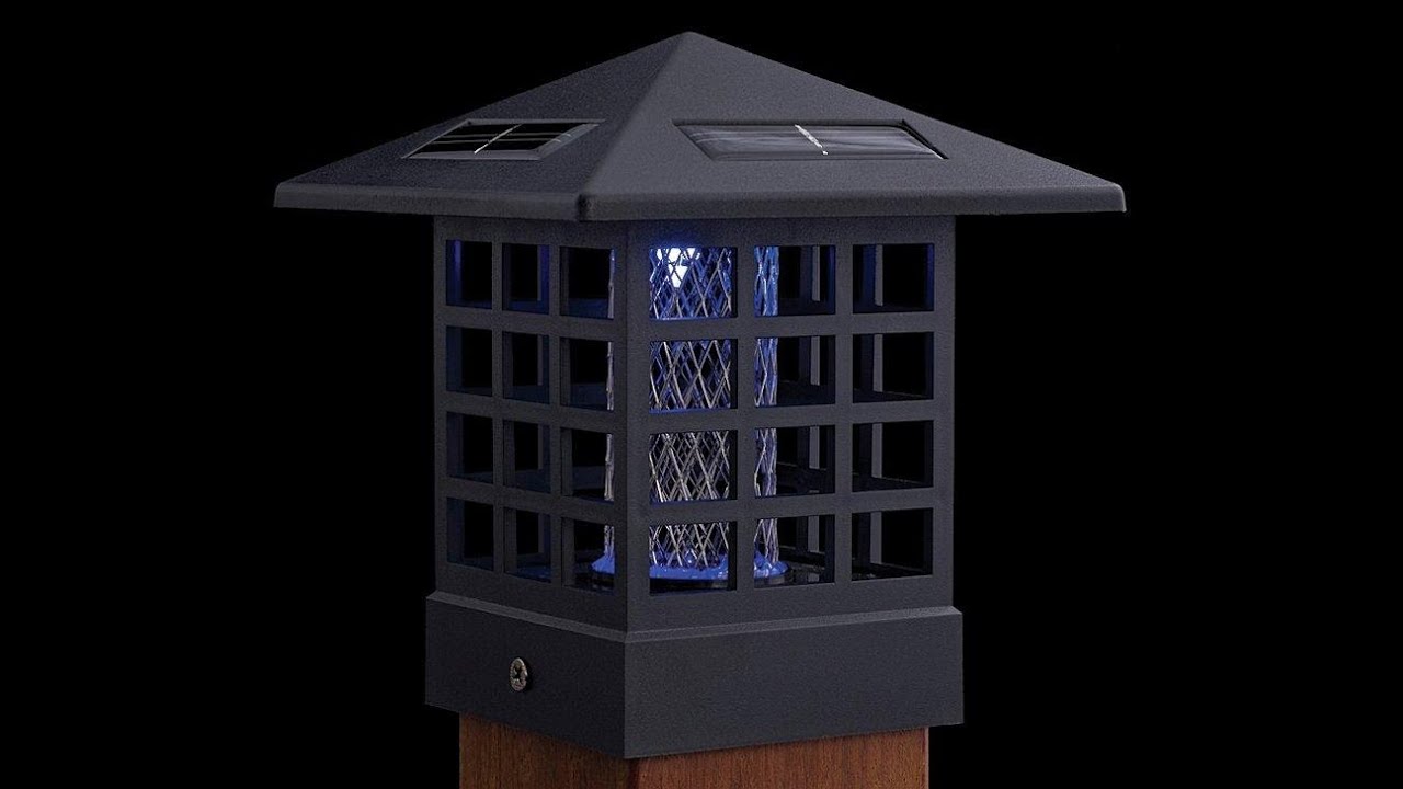 Solar Powered Garden Lights You