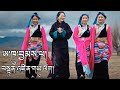 New tibetan song 2023    tenzin yulo akhu jampa 4k