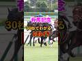 【有馬記念2024】30秒でわかるレガレイラ