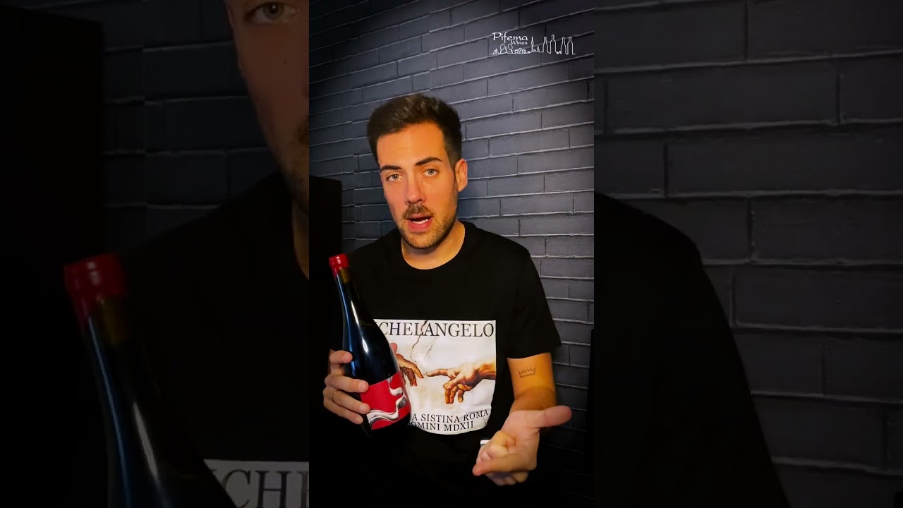 VideoCata Corga Barrica