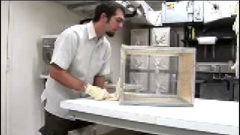 Proof That Bug Repellant Works