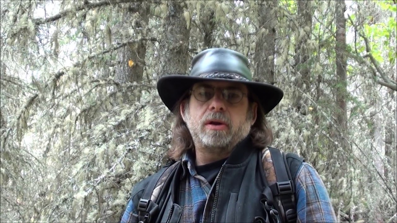 Identifying Natural Fire tinders