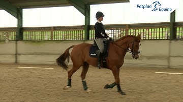 Perfecting Your Square Halt