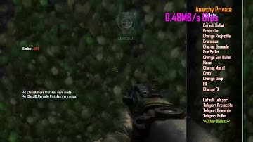 Anarchy Private GSC Bo2 1.19 Mod Menu
