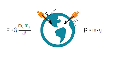 Quelle est la différence importante entre la force et la gravitation ?