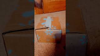 Dino Puppet Gets A Present